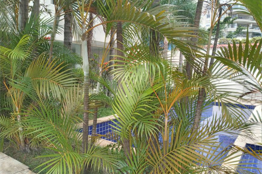 Apartamento para alugar com 2 suítes em Morumbi, São Paulo, SP