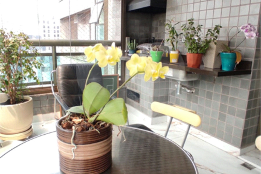 Apartamento à venda com 4 quartos, sendo 2 suítes, em Santana, São Paulo, SP
