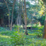 Terreno à venda no condomínio Chácara Flora, São Paulo - SP