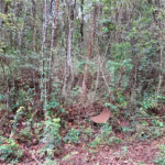 Terreno à venda no condomínio Alpes da Cantareira, Mairiporã - SP