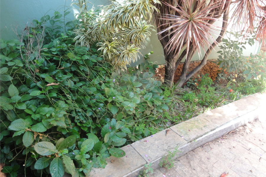Sobrado à venda com 3 quartos, sendo 1 suíte, em Mandaqui, São Paulo, SP