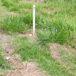 Terreno à venda no condomínio Elementum Atibaia, Atibaia - SP