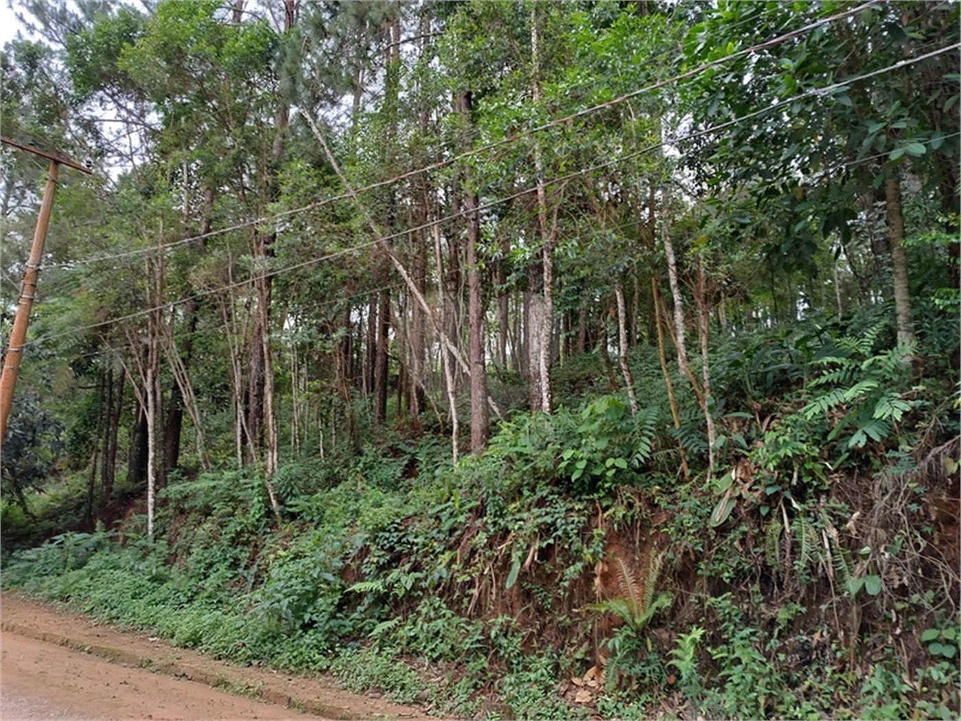 Terreno à venda no Centro (mailasqui), São Roque, SP