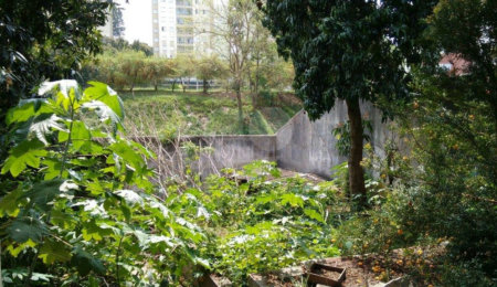 Casa Térrea à venda com 3 quartos em Vila Nova Cachoeirinha, São Paulo, SP