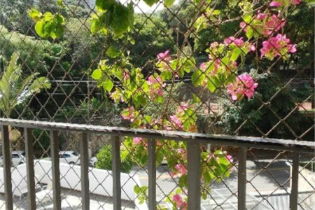 Apartamento para alugar com 4 quartos em Jardim Colombo, São Paulo, SP