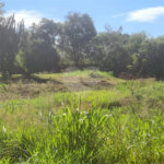 Terreno à venda em Jardim Patriarca, Ribeirão Preto, SP