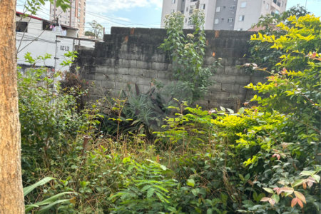 Terreno à venda em Vila Fiuza, Guarulhos, SP