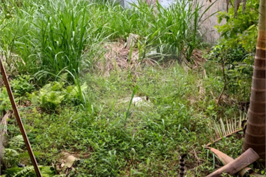 Casa Térrea à venda com 3 quartos, sendo 1 suíte, em Tremembé, São Paulo, SP