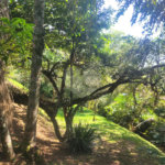 Casa à venda com 4 suítes no condomínio Sausalito, Mairiporã - SP