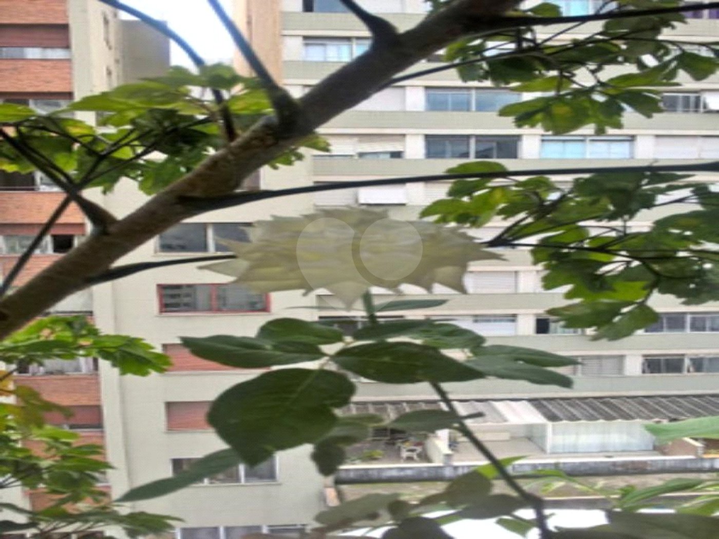 Apartamento à venda com 1 quarto no Centro, São Paulo, SP