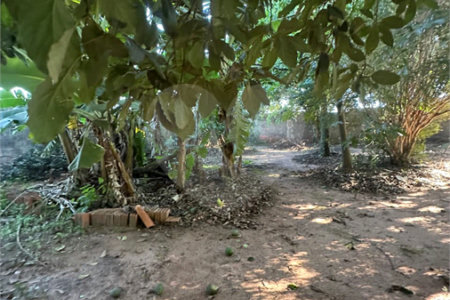 Terreno à venda em Residencial Ponta Porã I, Ponta Porã, MS
