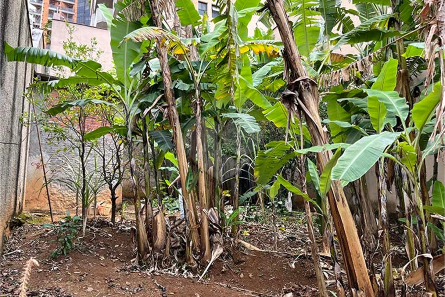 Terreno à venda em Santana, São Paulo, SP