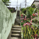 Terreno à venda em Vila Gustavo, São Paulo, SP