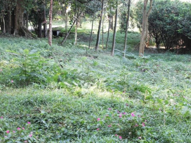 Terreno à venda no condomínio Chácara Flora, São Paulo - SP