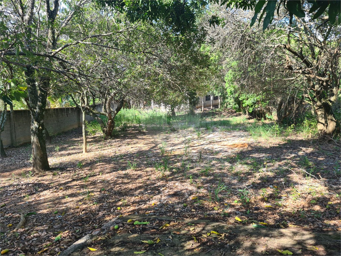 Terreno à venda no Centro, Vinhedo, SP