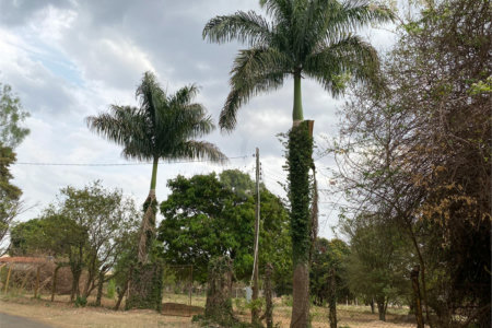 Chácara Parque Itaipu 3 quartos.