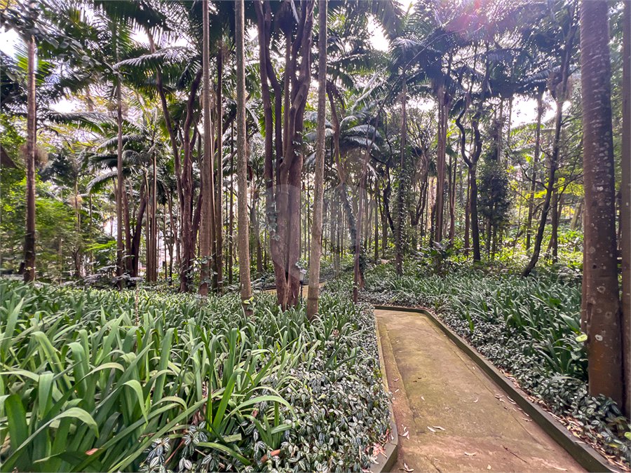 Apartamento à venda ou para alugar com 4 suítes em Alto da Boa Vista, São Paulo, SP