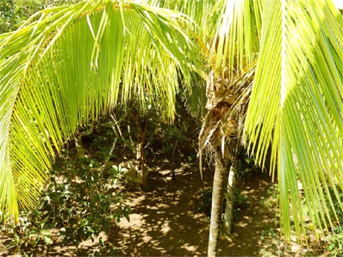 Casa Residencial à venda, Balneário Marambaia, Itanhaém - CA0135.