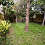 Linda casa térrea no Mandaqui