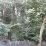 Terreno à venda em Tucuruvi, São Paulo, SP