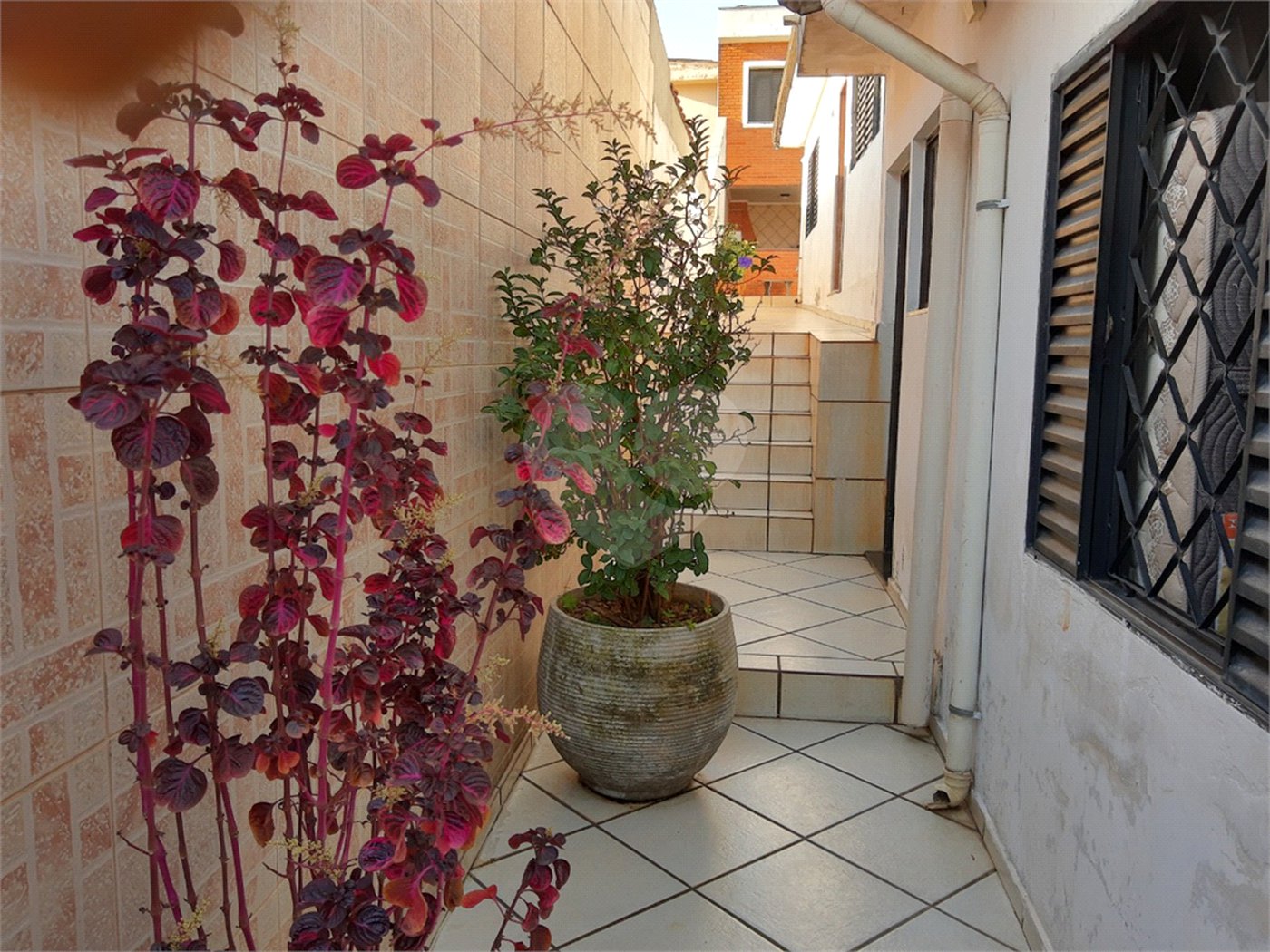 Casa Térrea à venda com 4 quartos, sendo 1 suíte,  em Vila Mazzei, São Paulo, SP