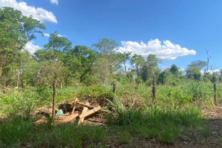 Área de Terra à venda no Centro Empresarial e Industrial Omar Maksoud, Araraquara, SP