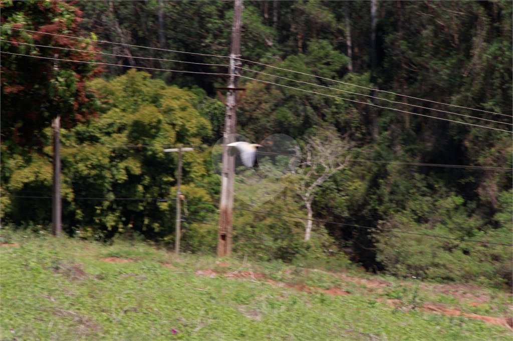 Sítio à venda com 8 quartos em Parque Rio Abaixo, Atibaia, SP