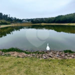 Terreno à venda no condomínio Residencial Arboretum, Vinhedo - SP