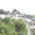 Casa à venda ou para alugar com 5 suítes em Jardim Leonor, São Paulo, SP