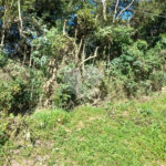 Terreno à venda em Roseira, Mairiporã, SP