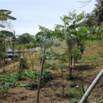 Chácara à venda com 2 quartos em Vila Caputera, Mogi das Cruzes, SP