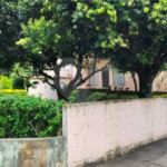 Terreno à venda com 3 quartos, sendo 1 suíte, em Vila Mazzei, São Paulo, SP