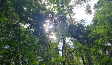 Terreno à venda em Caraguatá, Mairiporã, SP