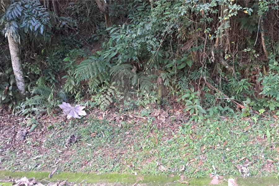 Terreno à venda no condomínio Associação Reserva das Hortênsias, Mairiporã - SP