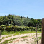Chácara à venda em Estância Hidromineral Santa Eliza, Itupeva, SP