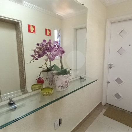 Apartamento à venda com 3 quartos, sendo 1 suíte,  em Água Fria, São Paulo, SP
