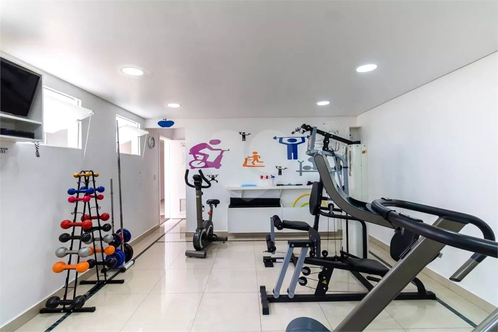 Apartamento à venda com 3 quartos, sendo 1 suíte, em Vila Gustavo, São Paulo, SP