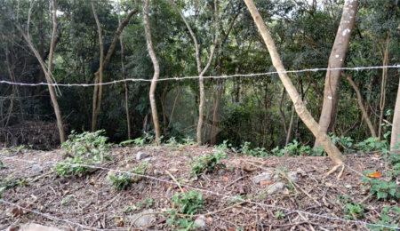 Terreno à venda no condomínio Alpes da Cantareira, Mairiporã - SP