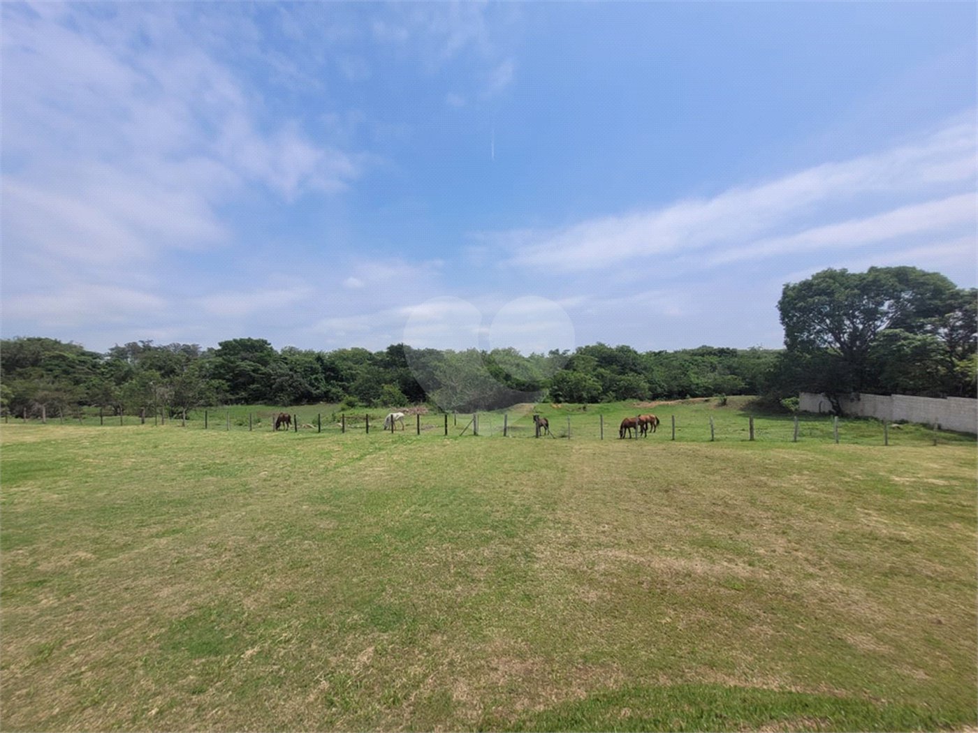 Sítio à Venda – 76.000m² com 5 casas de aluguel | Chácara Instância dos Reis – Monte Mor/SP