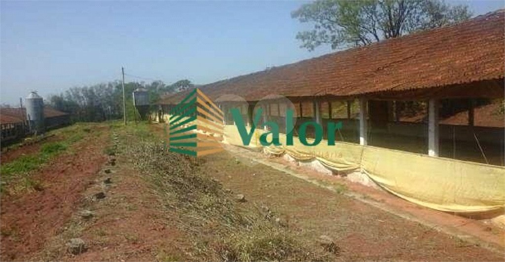Sítio Estrada São Carlos Ribeirão - próximo São Carlos