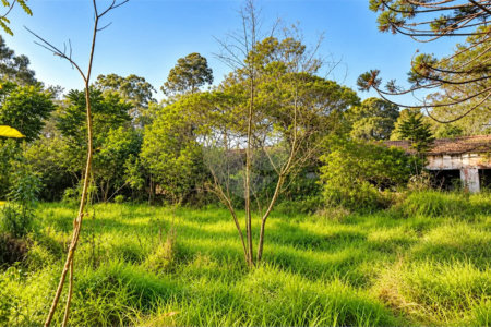 Terreno à venda em Interlagos, São Paulo, SP