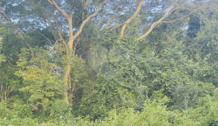Terreno à venda em Caravelas, Armação dos Búzios, RJ