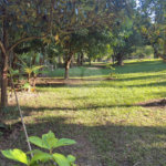 Chácara à venda com 4 quartos, sendo 3 suítes,  em Vila Recreio, Itapetininga, SP