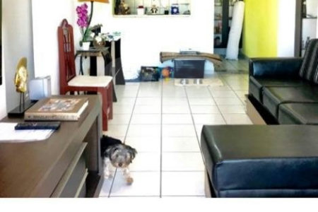 Apartamento à venda com 2 quartos em Aclimação, São Paulo, SP