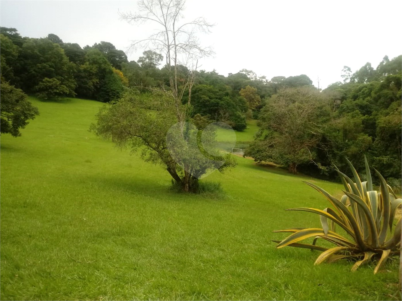 Chácara à venda com 5 quartos em Volta Grande (são João Novo), São Roque, SP
