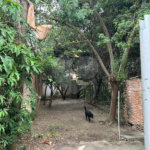Terreno à venda ou para alugar em Perdizes, São Paulo, SP