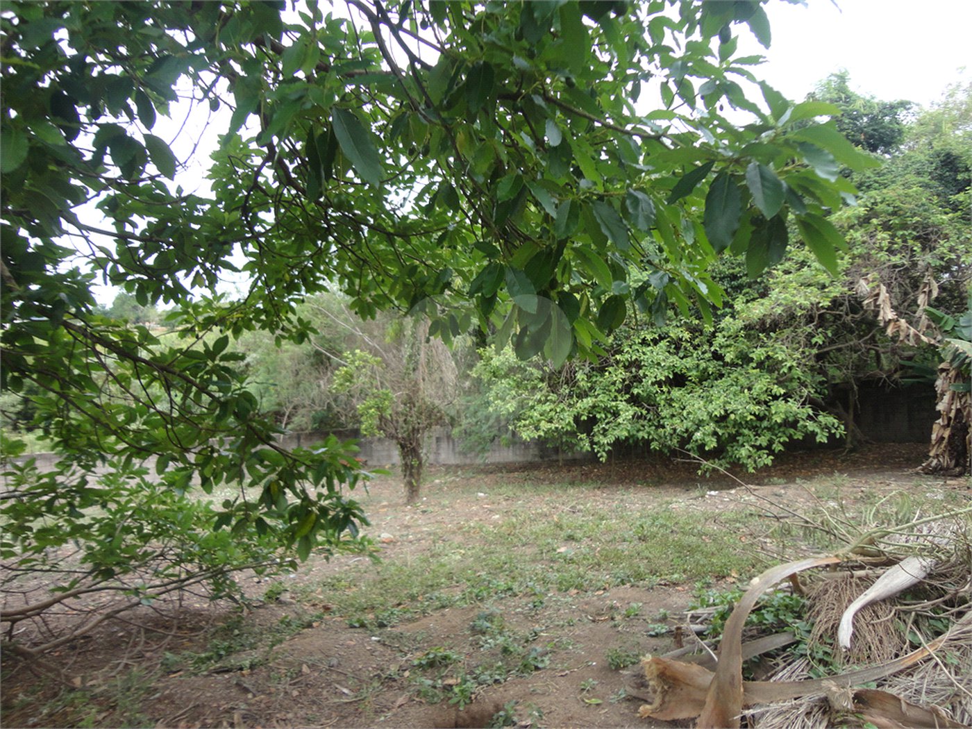 Terreno à venda em Pinheirinho, Vinhedo, SP