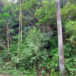 Terreno à venda no condomínio Sausalito, Mairiporã - SP