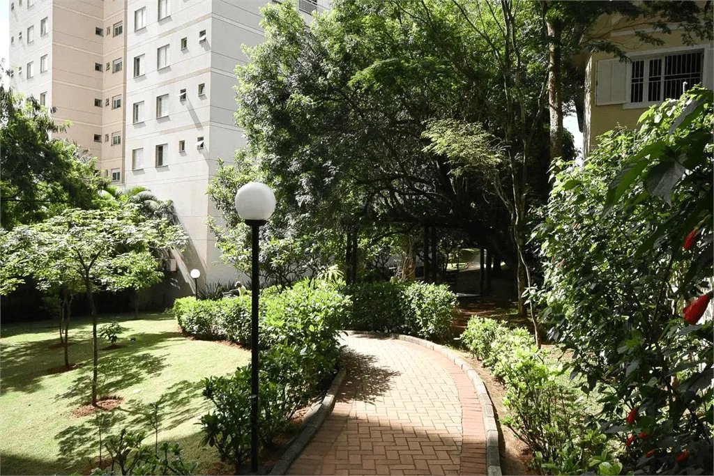 Apartamento à venda com 3 suítes em Lar São Paulo, São Paulo, SP