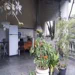 Casa à venda com 2 quartos, sendo 1 suíte,  em Jardim Dracena, São Paulo, SP